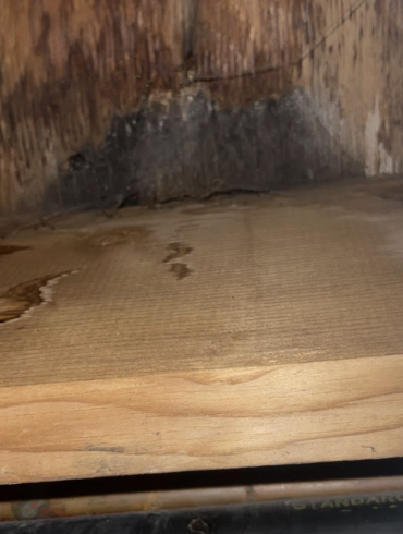 Need Emergency Water Damage Restoration