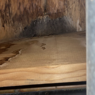 Need Emergency Water Damage Restoration